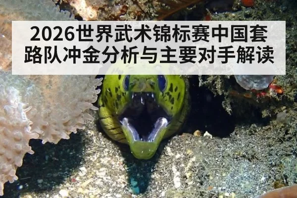 2026世界武术锦标赛中国套路队冲金分析与主要对手解读